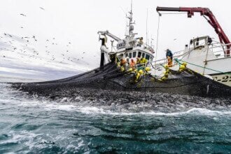 Sjømateksporten over fjoråret til tross for nedgang i september