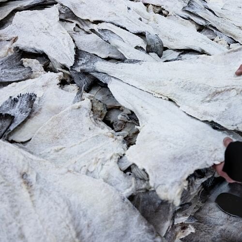 tavqz5ceoaxojzcnuclni3_listimage