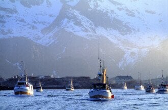 Rekordhøy torskeeksport