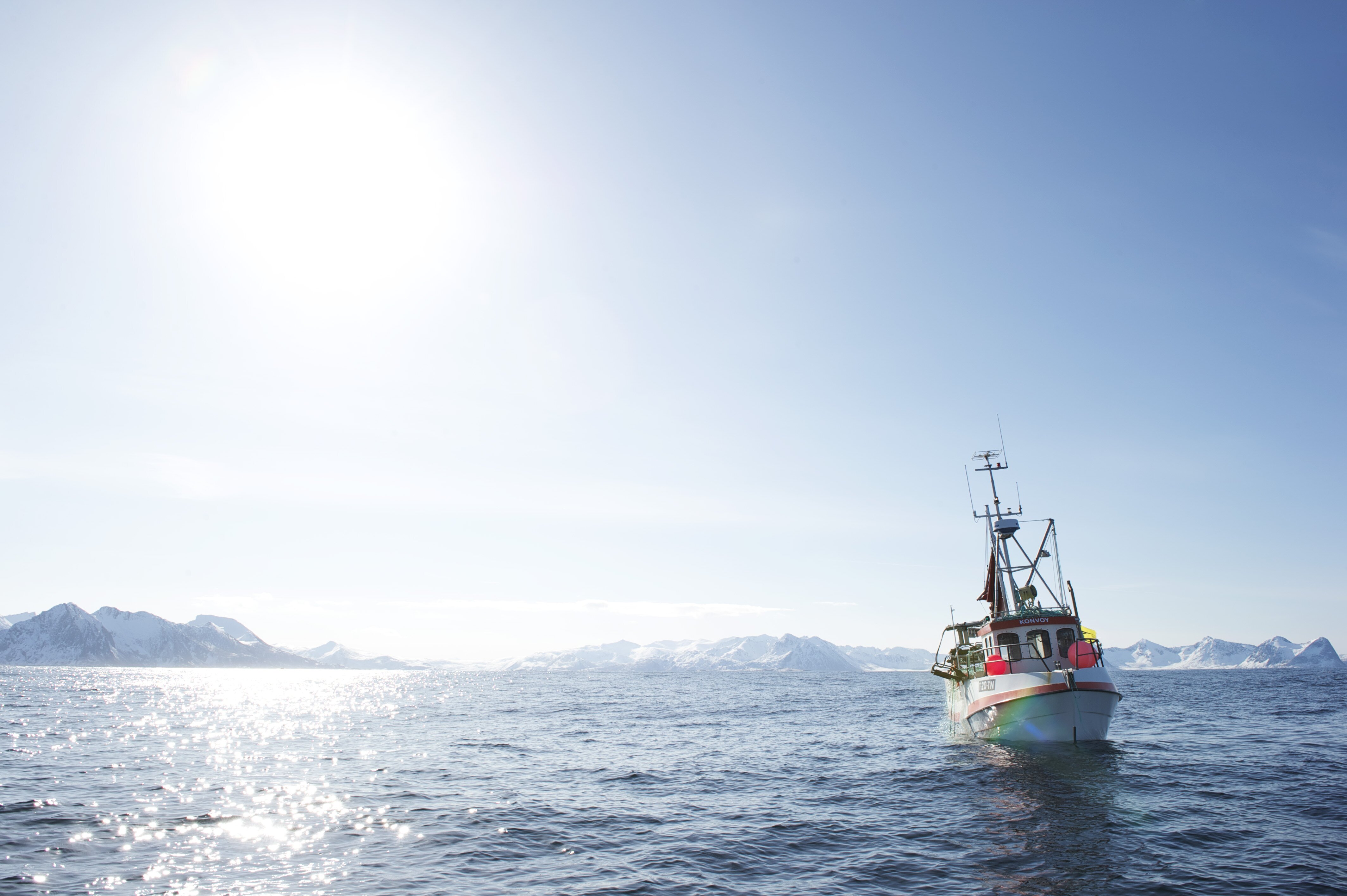 Fiskebåt på sjøen