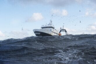 Prisløft for torsken