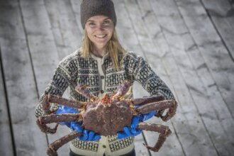 ​Nedgang i skalldyreksporten