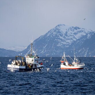 Kystfiskebåter på feltet