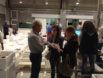 People from Innovation Norway together with a purchaser at Wholesale Fish Market in Milan.