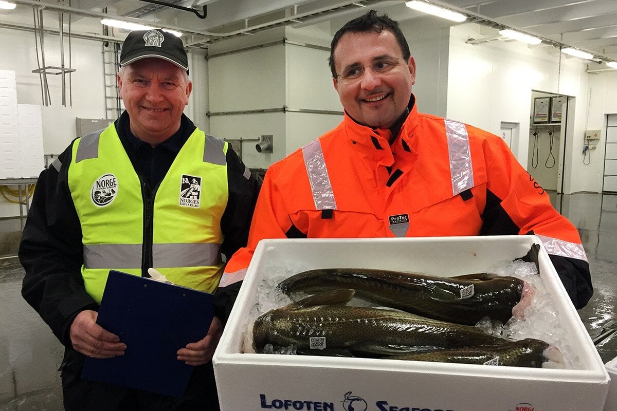 Tørrfiskambassadør og kokk Paolo Barrale besøker i disse dager Lofoten. Her var han med skreipatruljens Åge Jakobsen på Napp hvor det ble pakket skrei.  Foto: Merete Kristiansen, Sjømatrådet