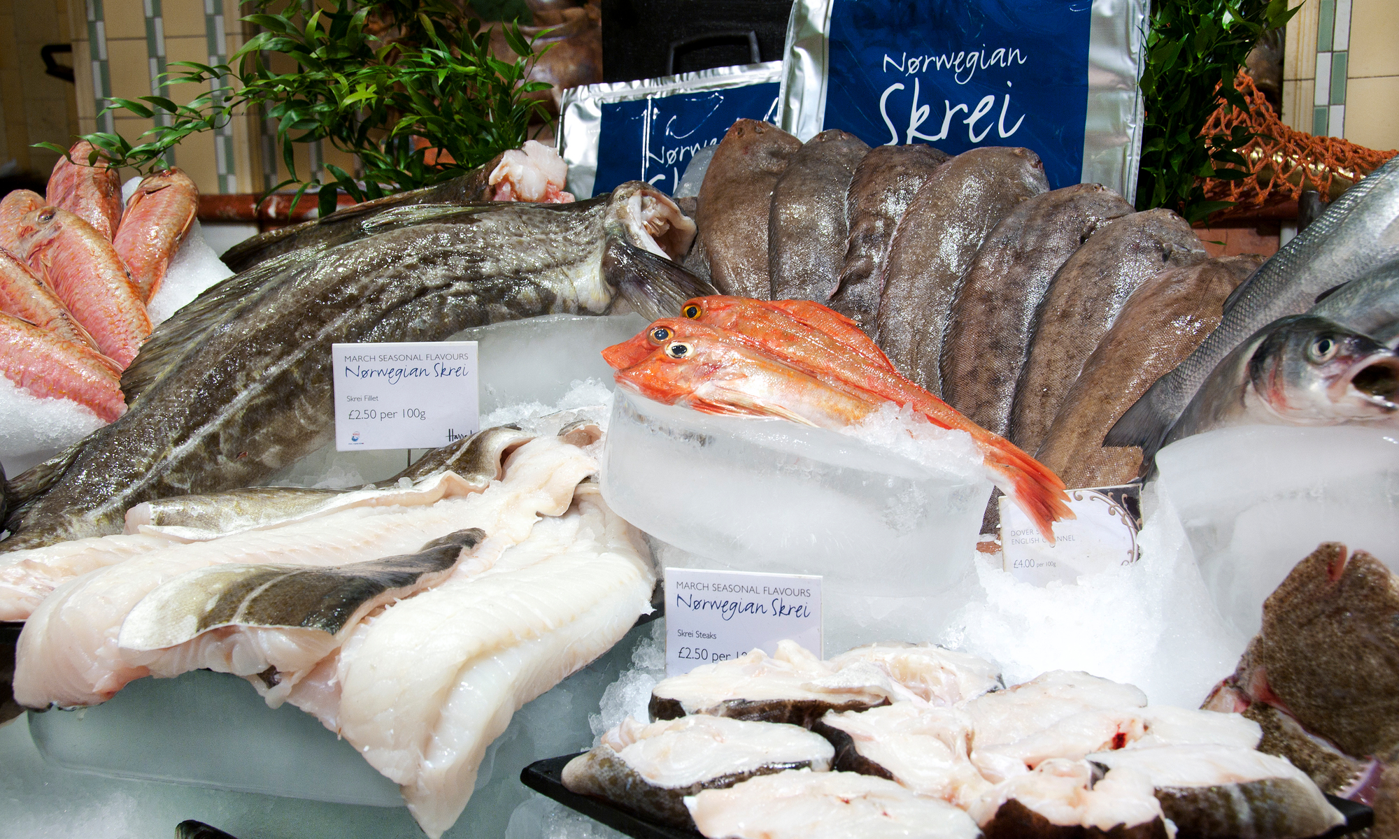 SKREI(R) på Harrods i London.