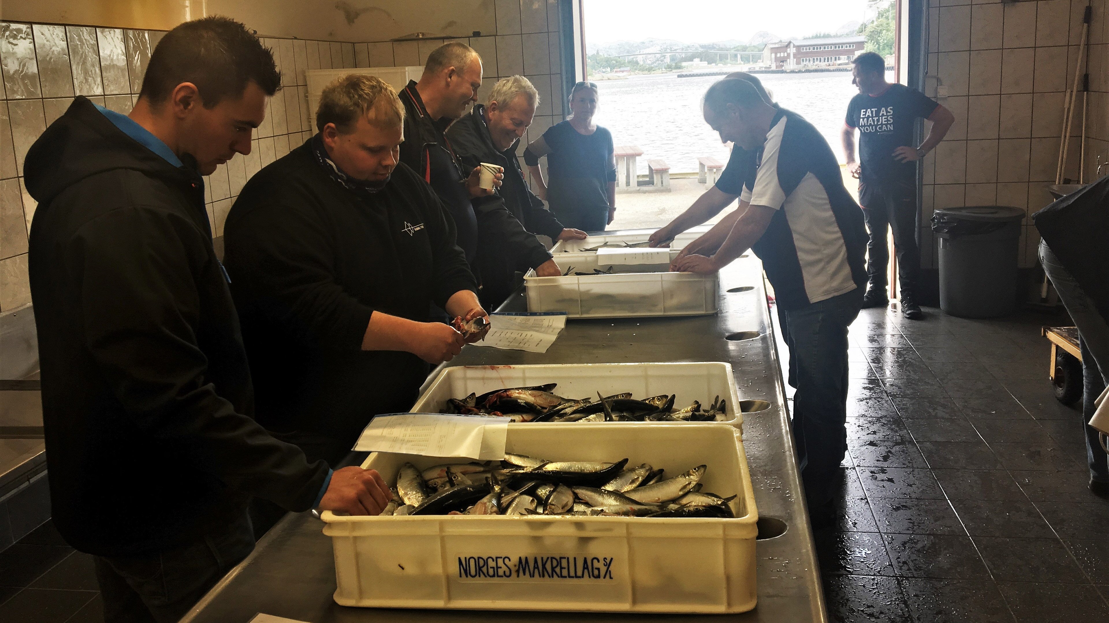 Matjesauksjon---Roar-Bjånesøy---Norges-Sildesalgslag-(2)-resize