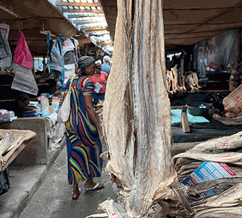 Sjømatrådet i Nigeria