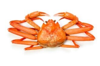  Snow crab