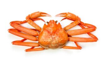  Snow crab