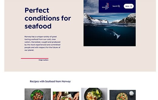 International-web-2024